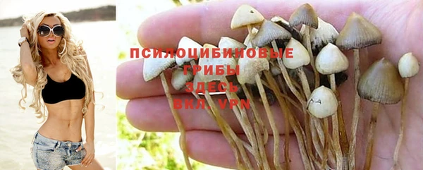 мяу мяу кристалл Баксан